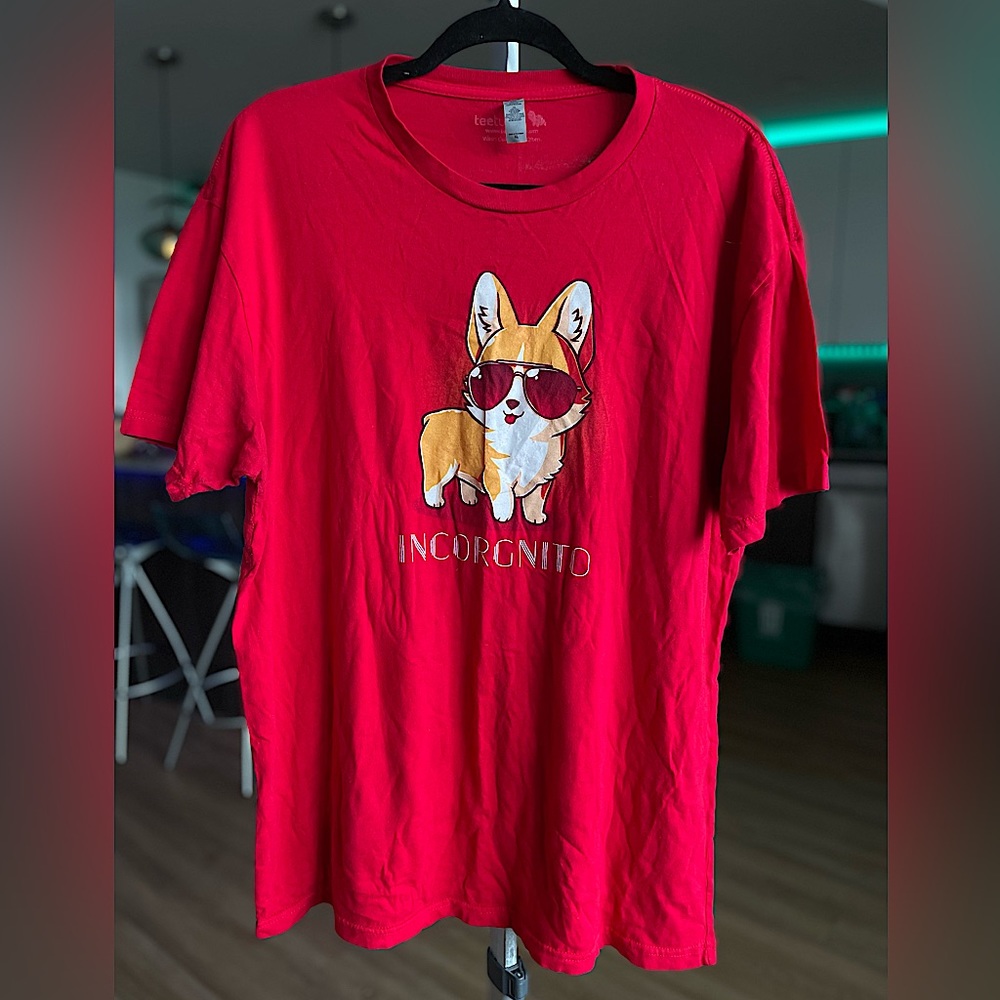 “Incorgnito” Teeturtle shirt! | Closet Label #80.)